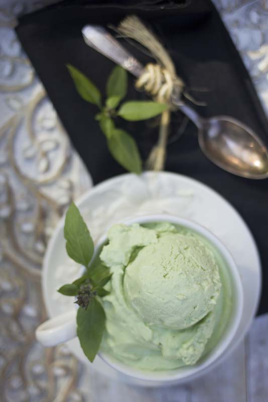 Coconut and Thai Basil Ice Cream and Ice Pops