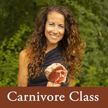 Carnivore Class Video