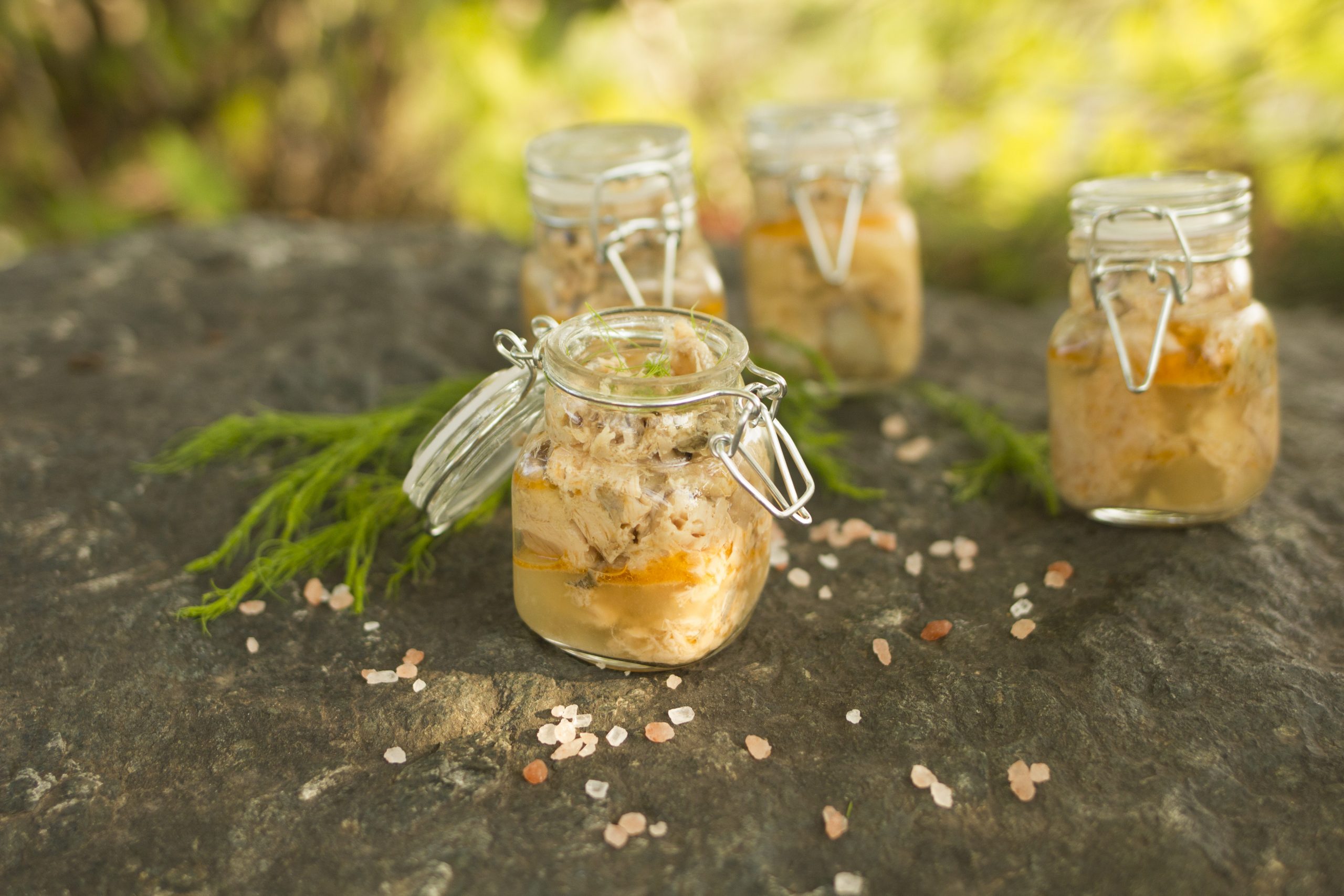 Canned Salmon