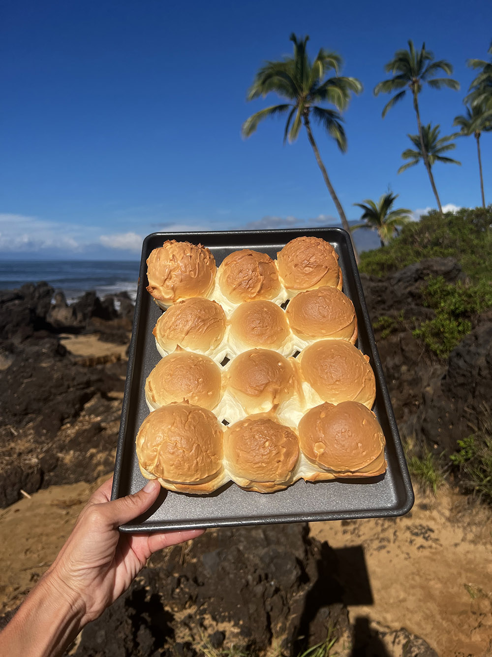 Protein Sparing Bread Hawaiian Rolls