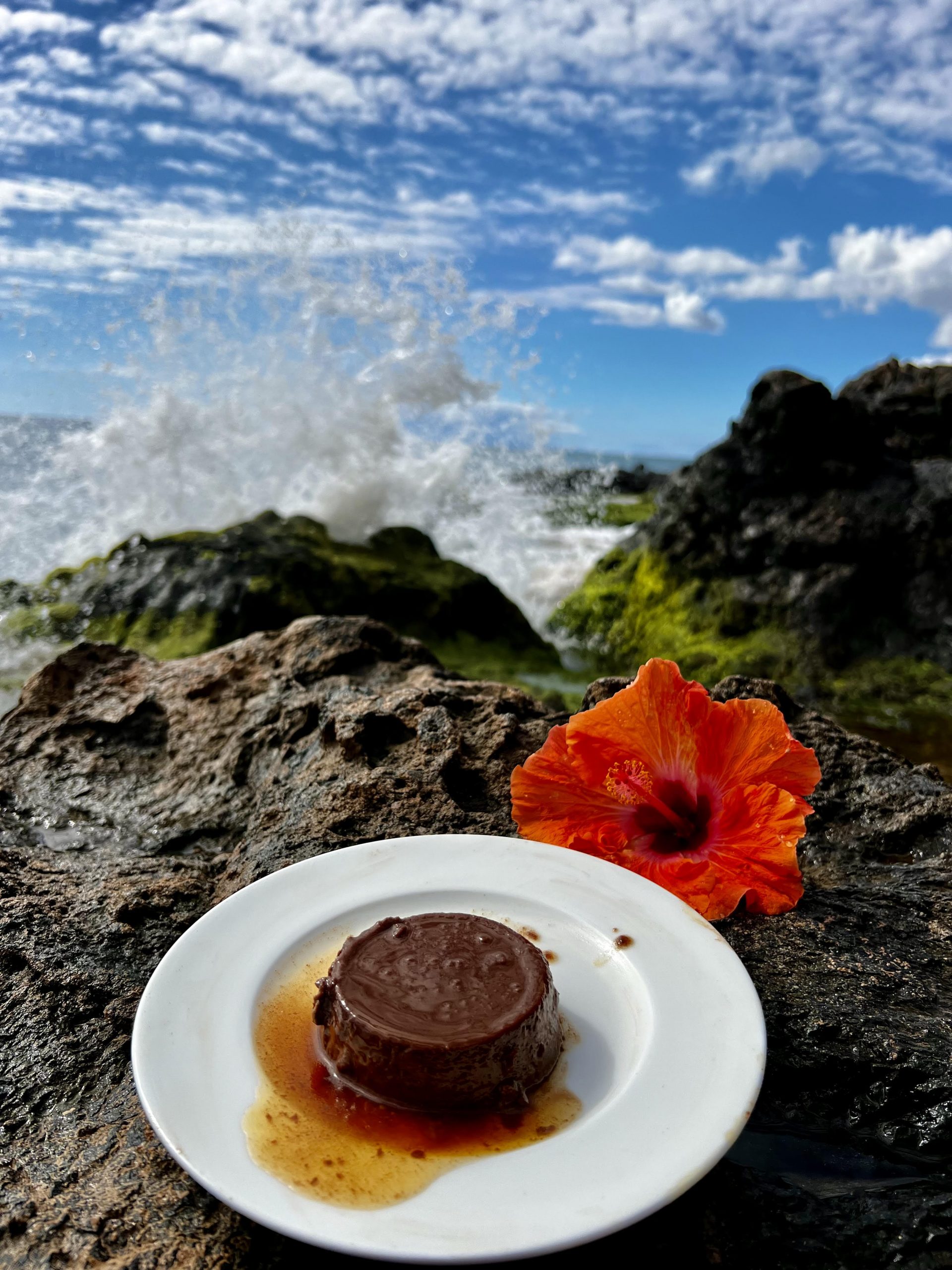 Protein Sparing Chocolate Flan